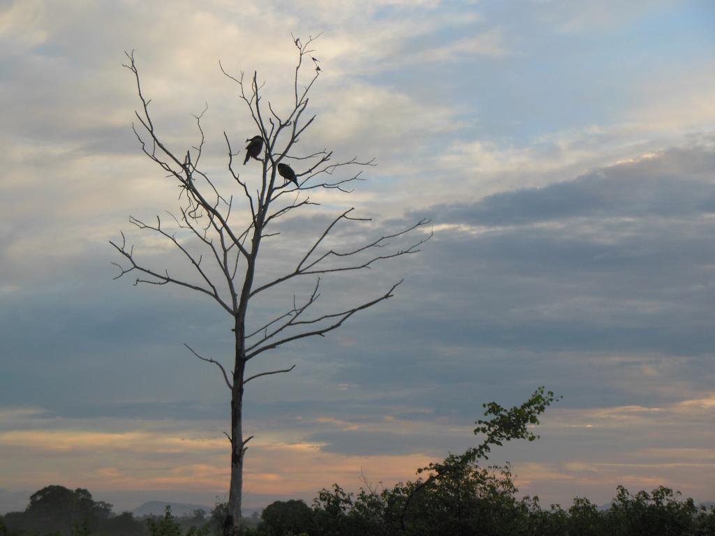 Ranith Villa Tangalle Pokoj fotografie